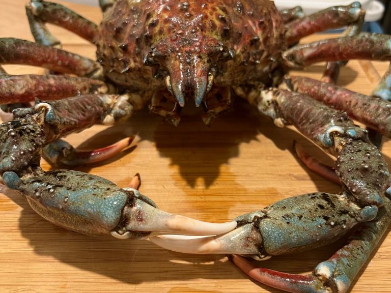 California King Crab Seasonal Specialty